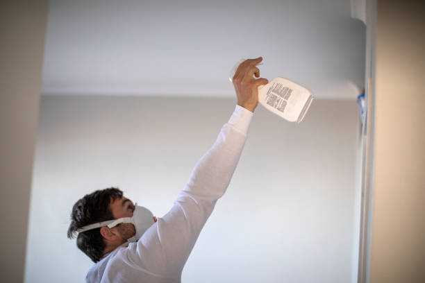 Best Mold Testing  in Essex Junction, VT